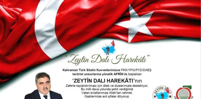 Zeytin Dalı Harekâtı