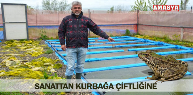 SANATTAN KURBAĞA ÇİFTLİĞİNE