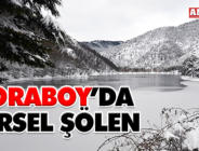 BORABOY’DA GÖRSEL ŞÖLEN