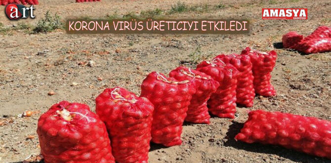 KORONA VİRÜS ÜRETİCİYİ ETKİLEDİ