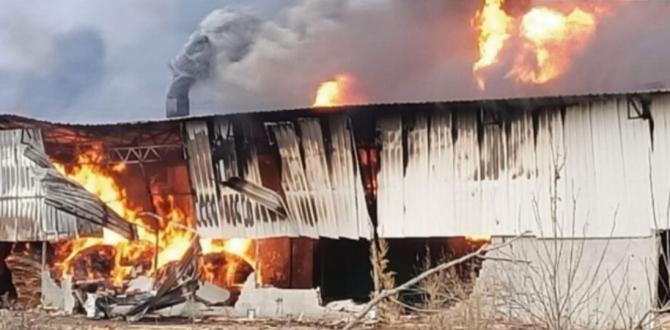 Amasya’nın Taşova ilçesinde bir Kontrplak fabrikasında yangın çıktı.